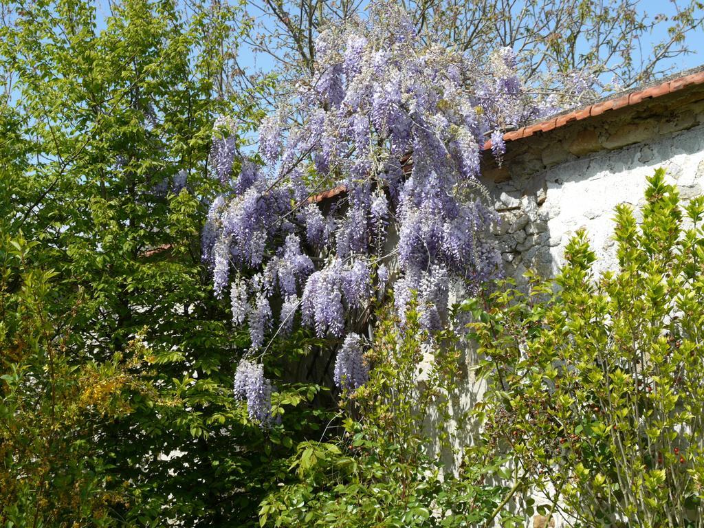 Gites De La Grande Ferme Avernes Δωμάτιο φωτογραφία